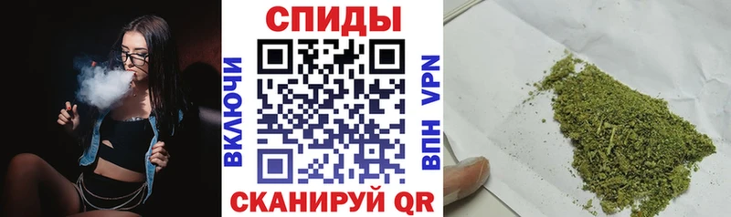 OMG вход Высоковск БУТИРАТ буратино