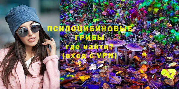 прущая мука Богданович
