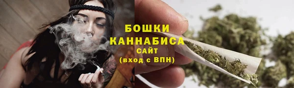 соль ск Богородицк