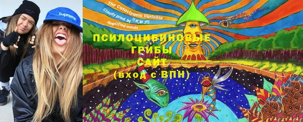 дурь Бородино