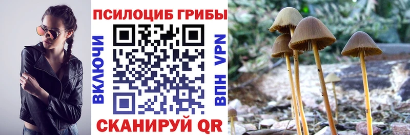 дарнет шоп  Высоковск  KRAKEN вход  Псилоцибиновые грибы мухоморы 